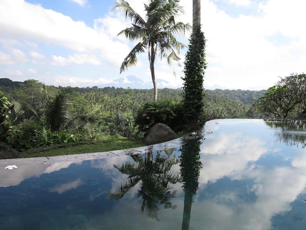 Taman Bebek Bali Hotel Ubud Buitenkant foto