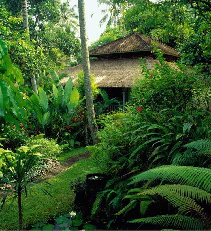 Taman Bebek Bali Hotel Ubud Buitenkant foto