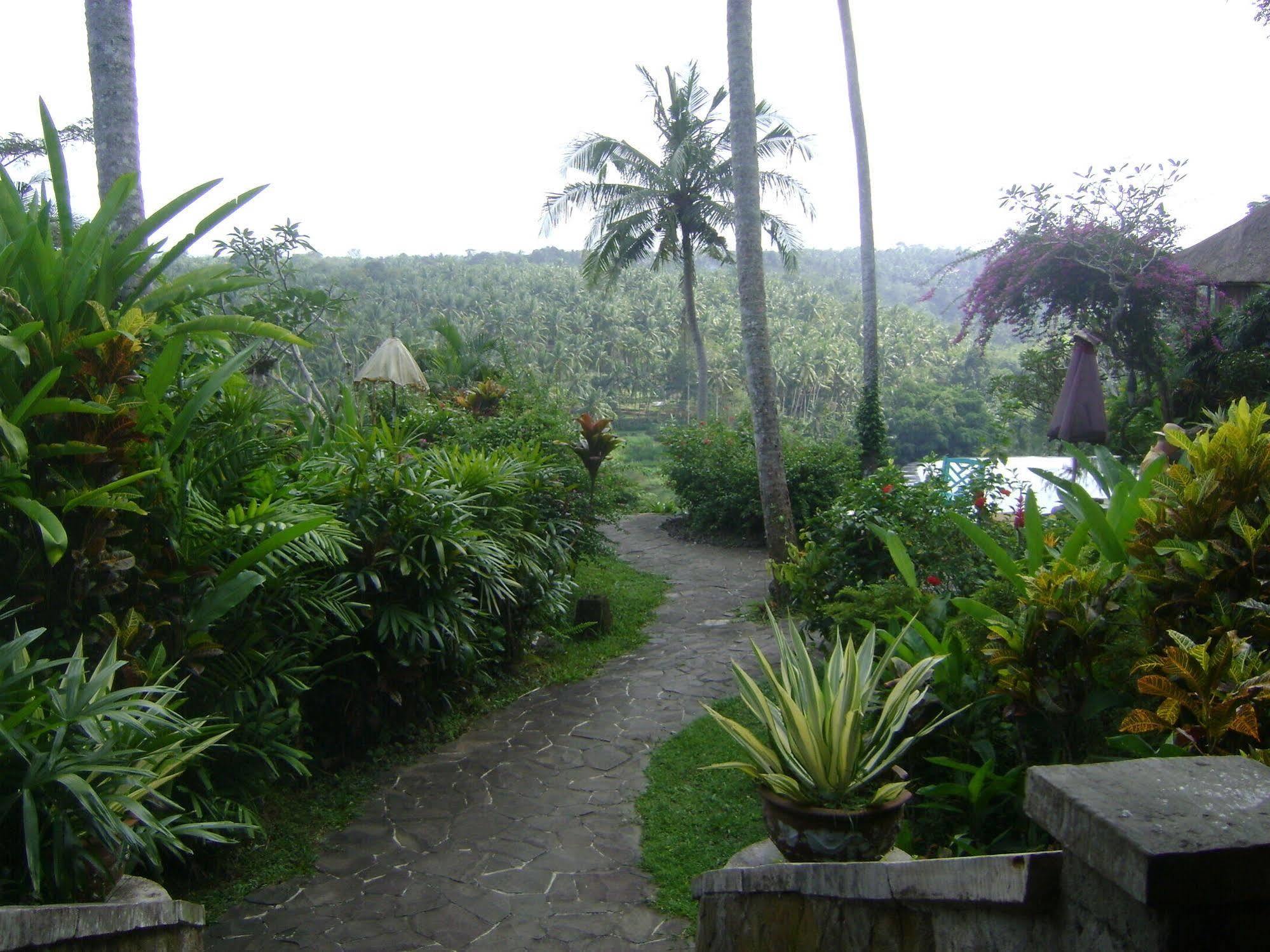 Taman Bebek Bali Hotel Ubud Buitenkant foto