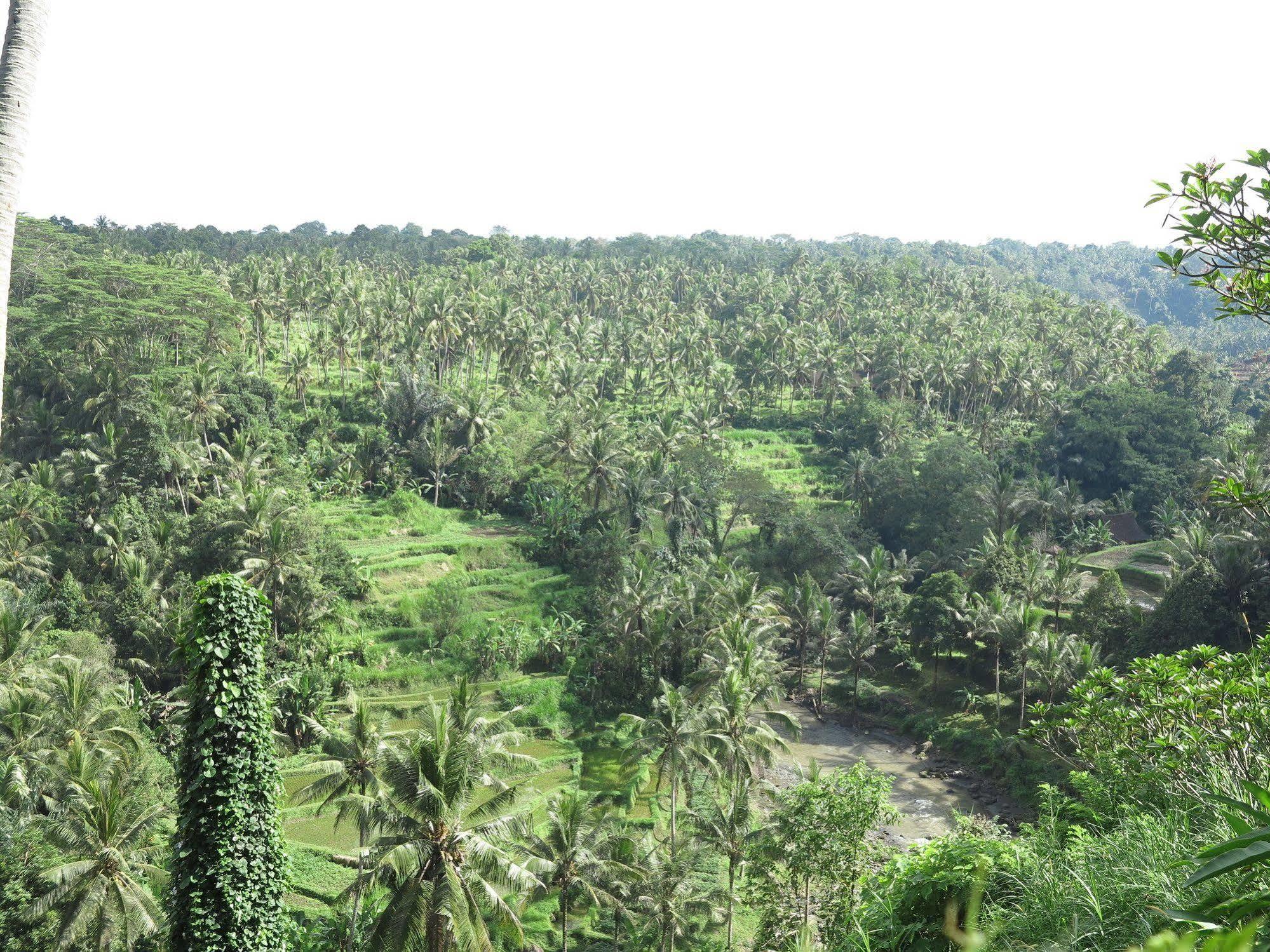 Taman Bebek Bali Hotel Ubud Buitenkant foto