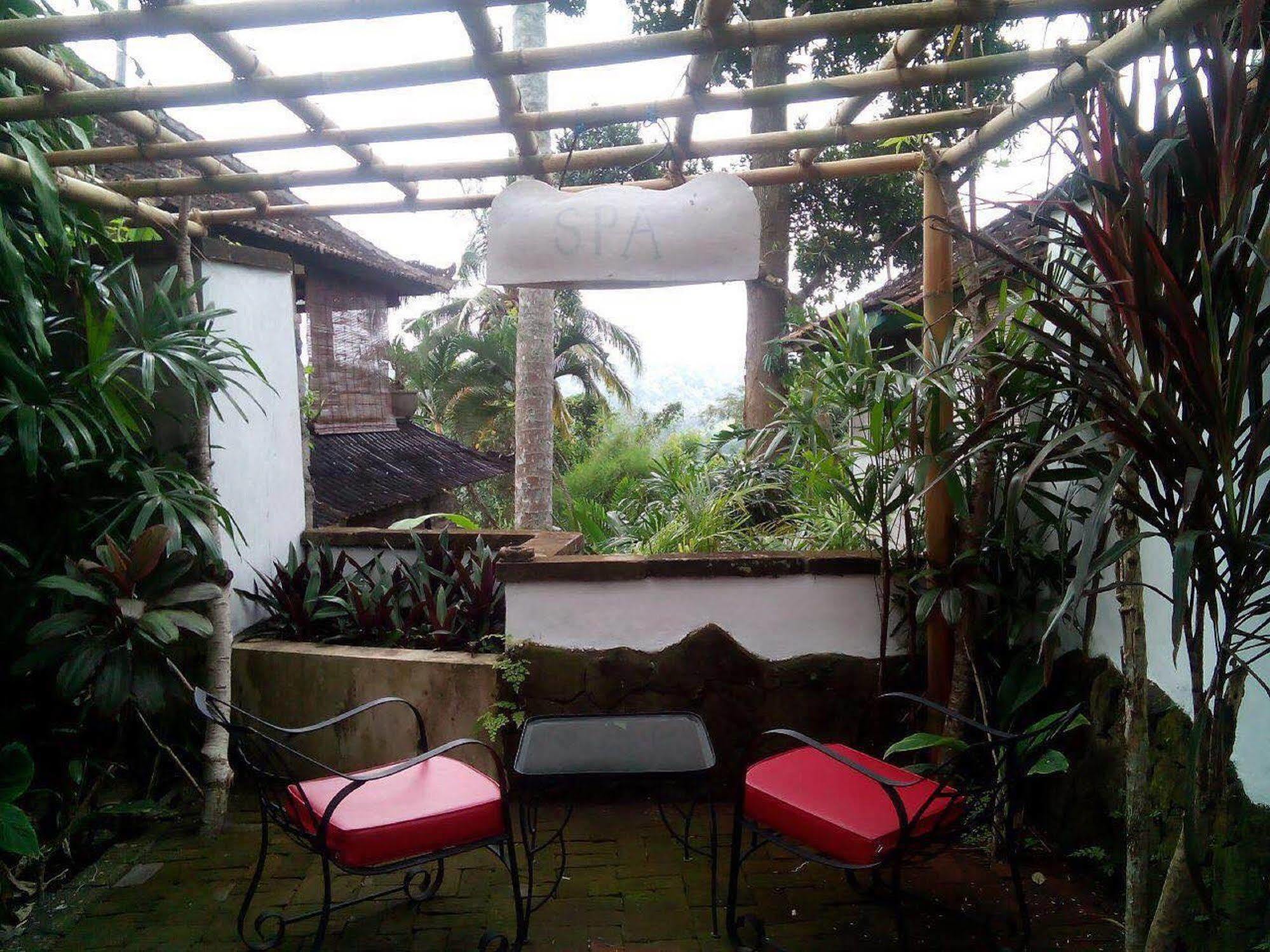 Taman Bebek Bali Hotel Ubud Buitenkant foto