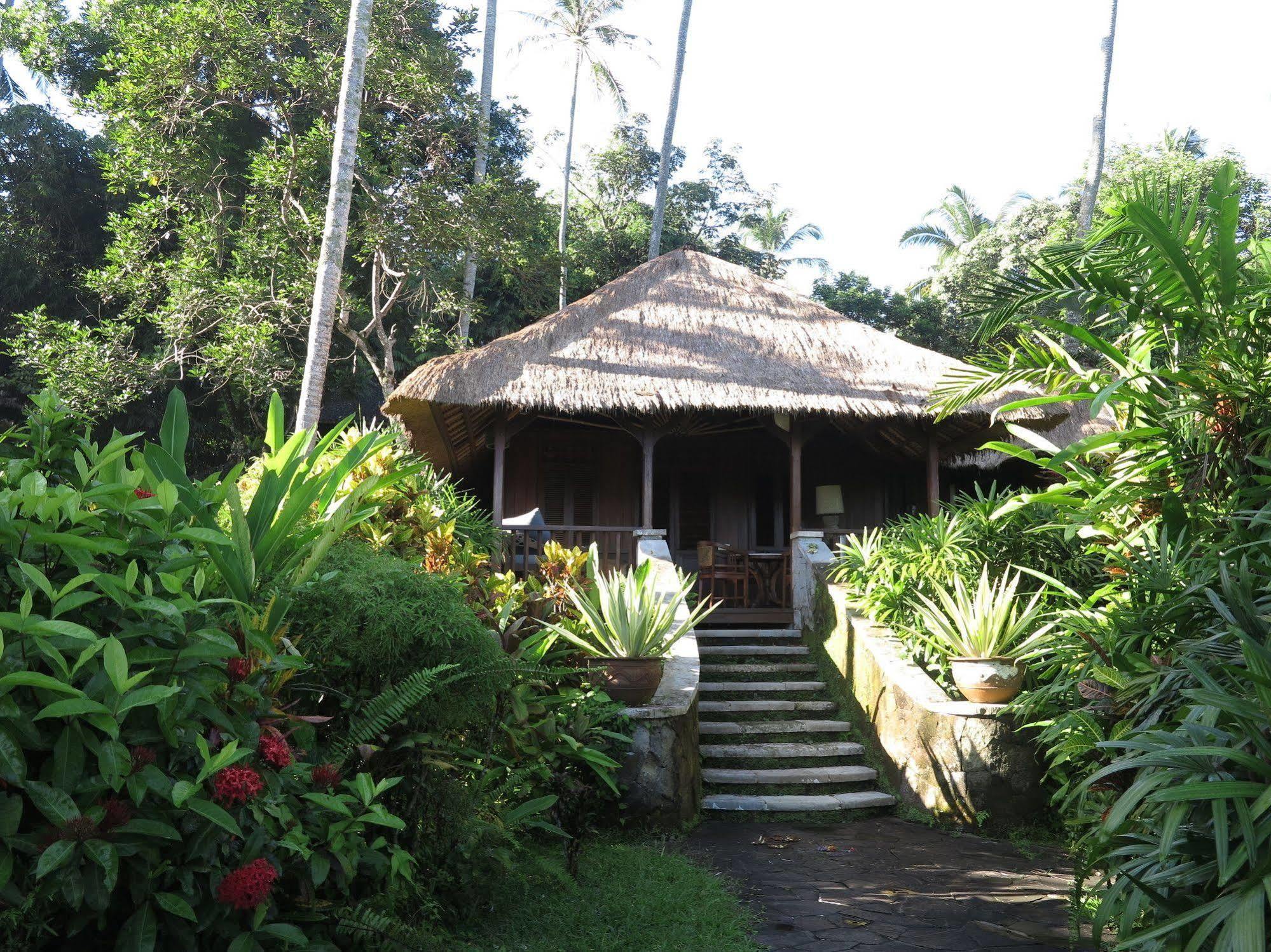 Taman Bebek Bali Hotel Ubud Buitenkant foto
