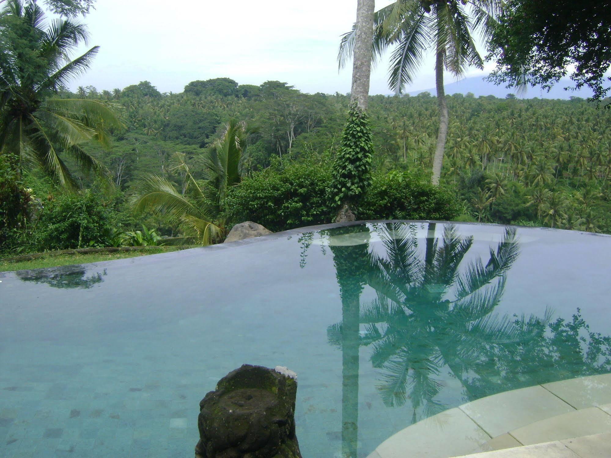 Taman Bebek Bali Hotel Ubud Buitenkant foto