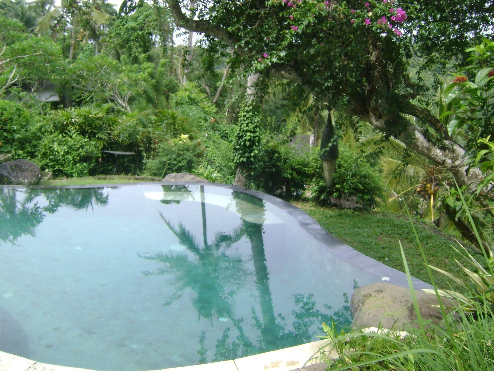 Taman Bebek Bali Hotel Ubud Buitenkant foto